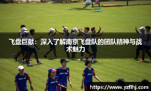 飞盘巨献：深入了解南京飞盘队的团队精神与战术魅力