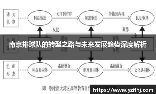 南京排球队的转型之路与未来发展趋势深度解析