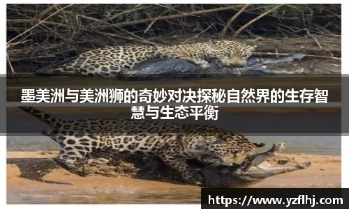 墨美洲与美洲狮的奇妙对决探秘自然界的生存智慧与生态平衡